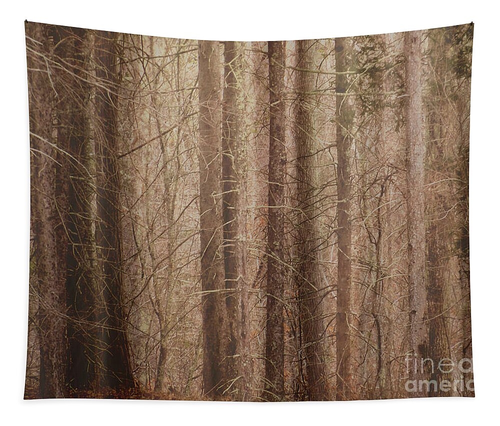 Abstract Tapestry featuring the photograph Ponaganset Pines by Lili Feinstein