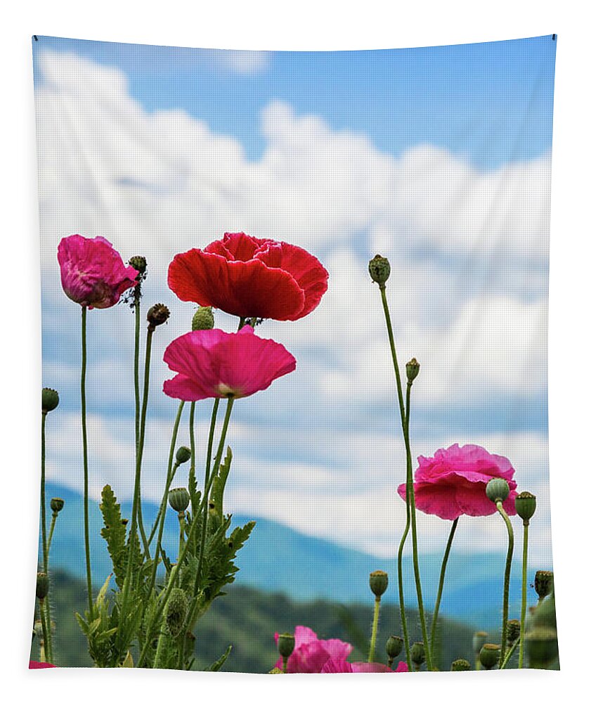 Poppies Tapestry featuring the photograph Poppies in the Sky by Lisa Lemmons-Powers