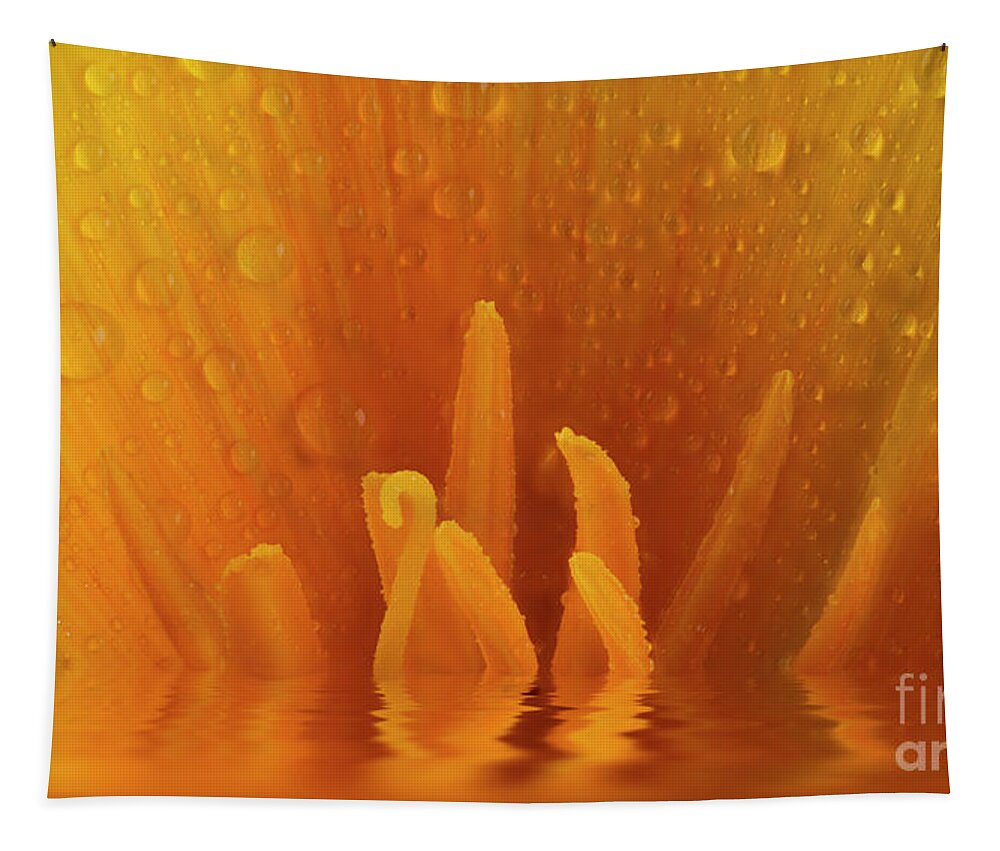 Flower Tapestry featuring the photograph Poppy flower macro and water reflection by Simon Bratt