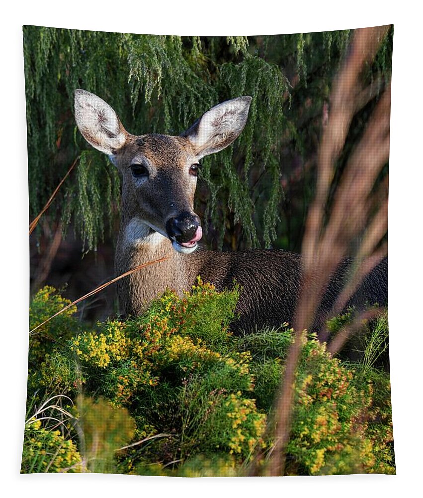 Florida Tapestry featuring the photograph Portrait of a Doe by T Lynn Dodsworth