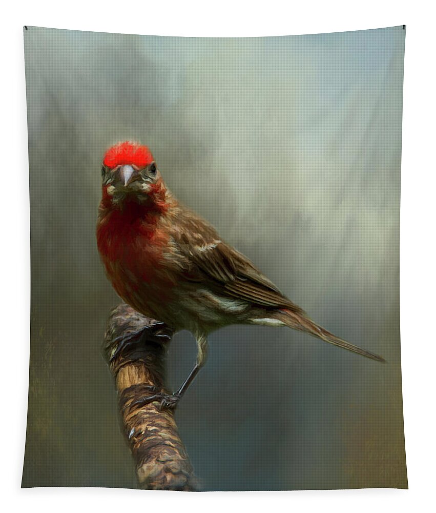Avian Tapestry featuring the photograph Portrait of a House Finch by Cathy Kovarik