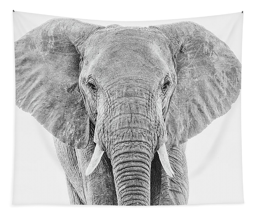 Elephant Tapestry featuring the photograph Portrait of an African Elephant Bull in Monochrome by Mark Hunter