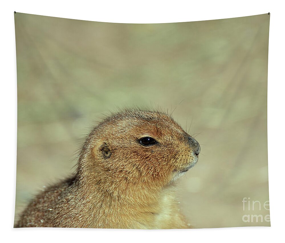 Rodentia Tapestry featuring the photograph Prairie Dog Portrait by Robert WK Clark