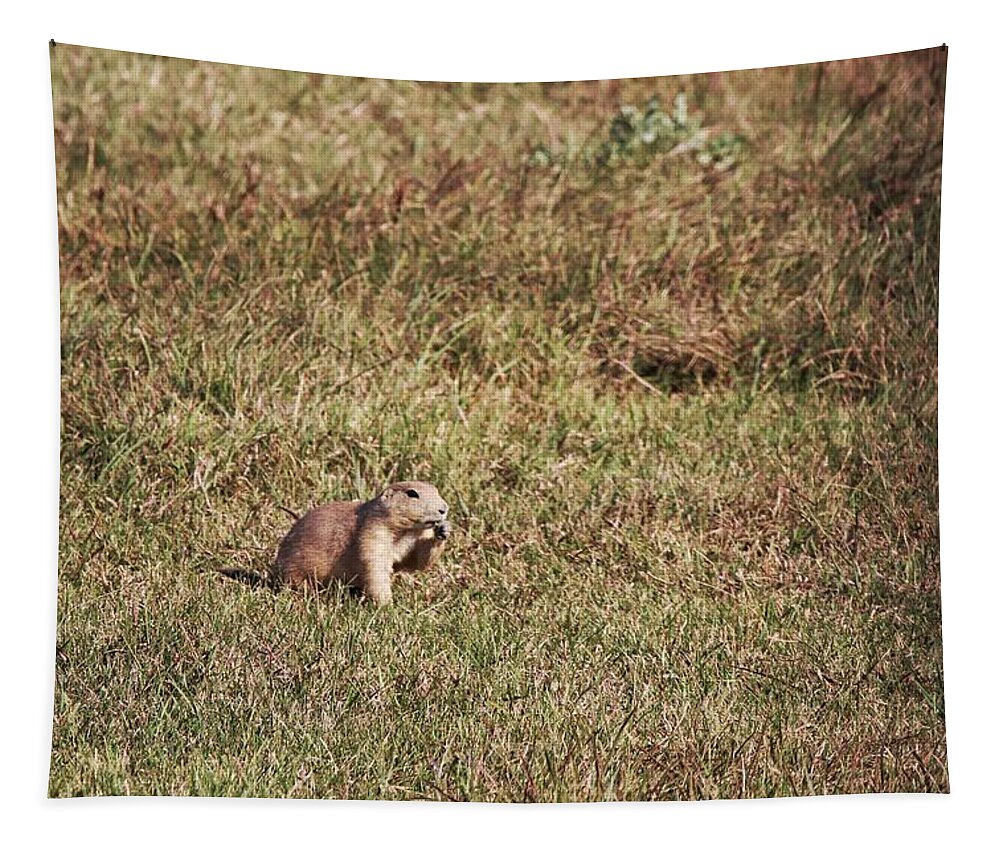 Prairie Dogs At Custer State Park Tapestry featuring the photograph Prairie Dogs at Custer State Park by Susan Jensen