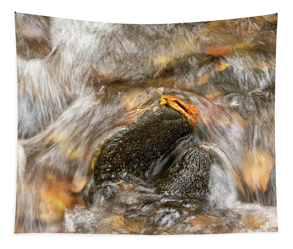 Blueridge Tapestry featuring the photograph Precarious Balance by Peggy Blackwell
