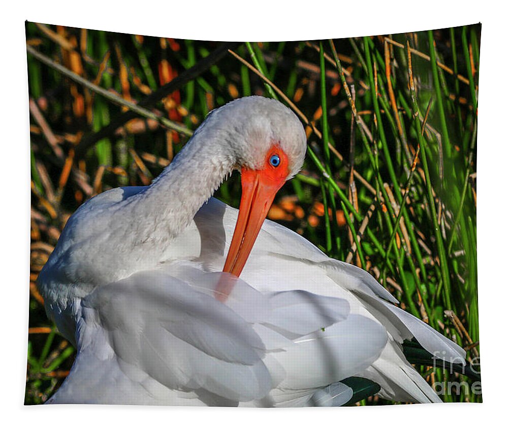 Ibis Tapestry featuring the photograph Preening Ibis #2 by Tom Claud