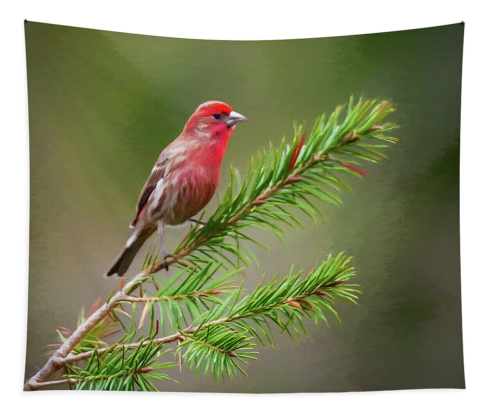 Finch Tapestry featuring the photograph Pretty Bird by Cathy Kovarik