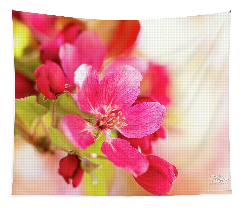 Garden Tapestry featuring the photograph Pretty in Pink by Pamela Taylor