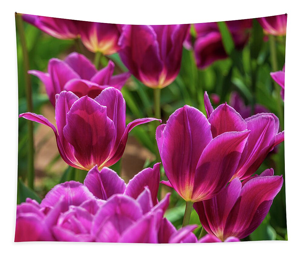 Flowers Tapestry featuring the photograph Pretty Purple Tulips by Louis Dallara