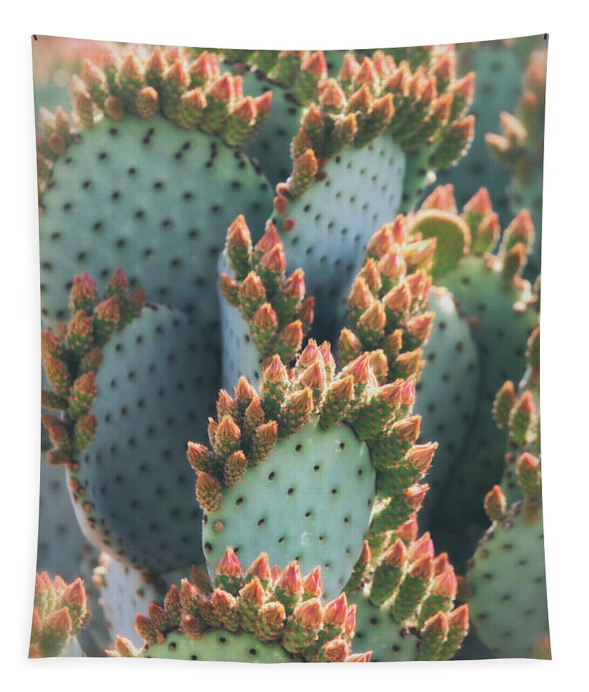 Prickly Pear Cactus Tapestry featuring the photograph Prickly Pear Buds by Saija Lehtonen