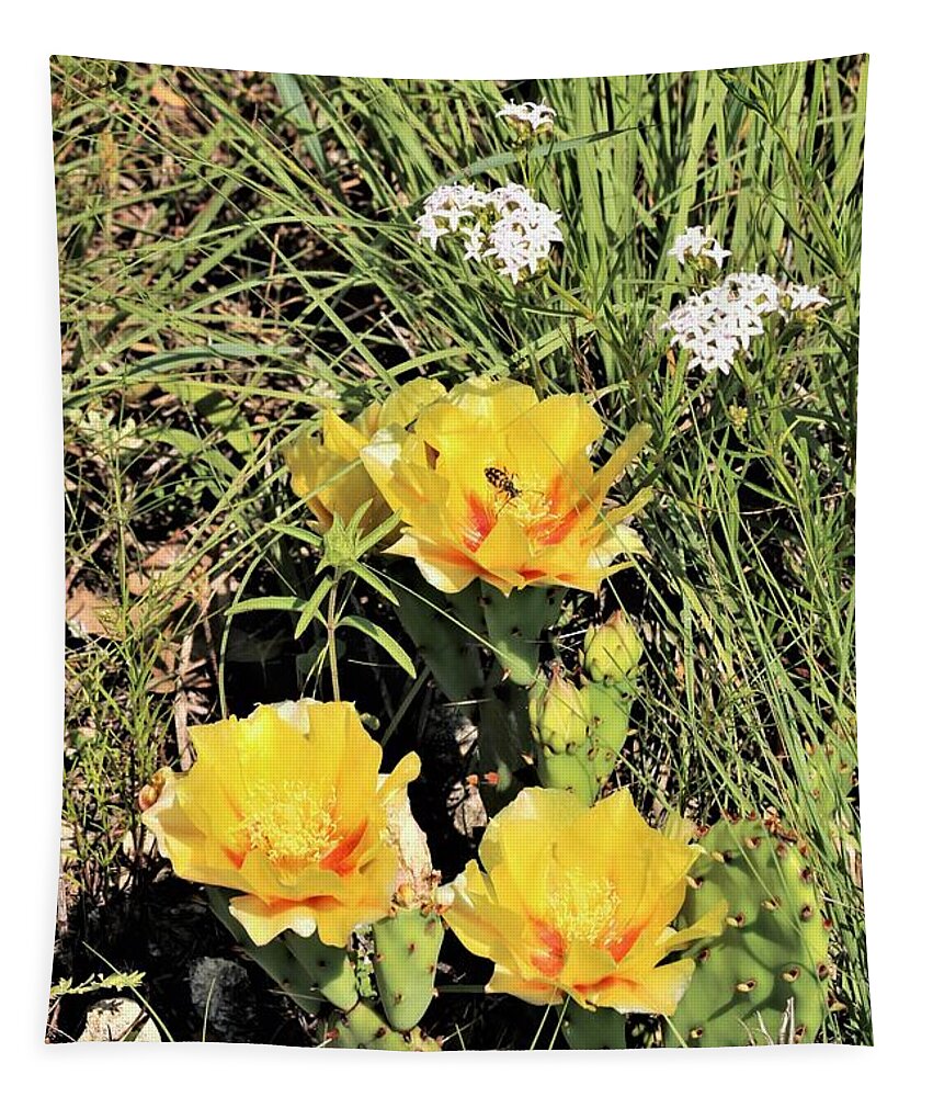 Nature Tapestry featuring the photograph Prickly Pear Cactus in Spring by Sheila Brown