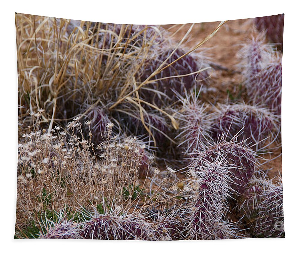 New Mexico Desert Tapestry featuring the photograph Protected Flowers by Robert WK Clark
