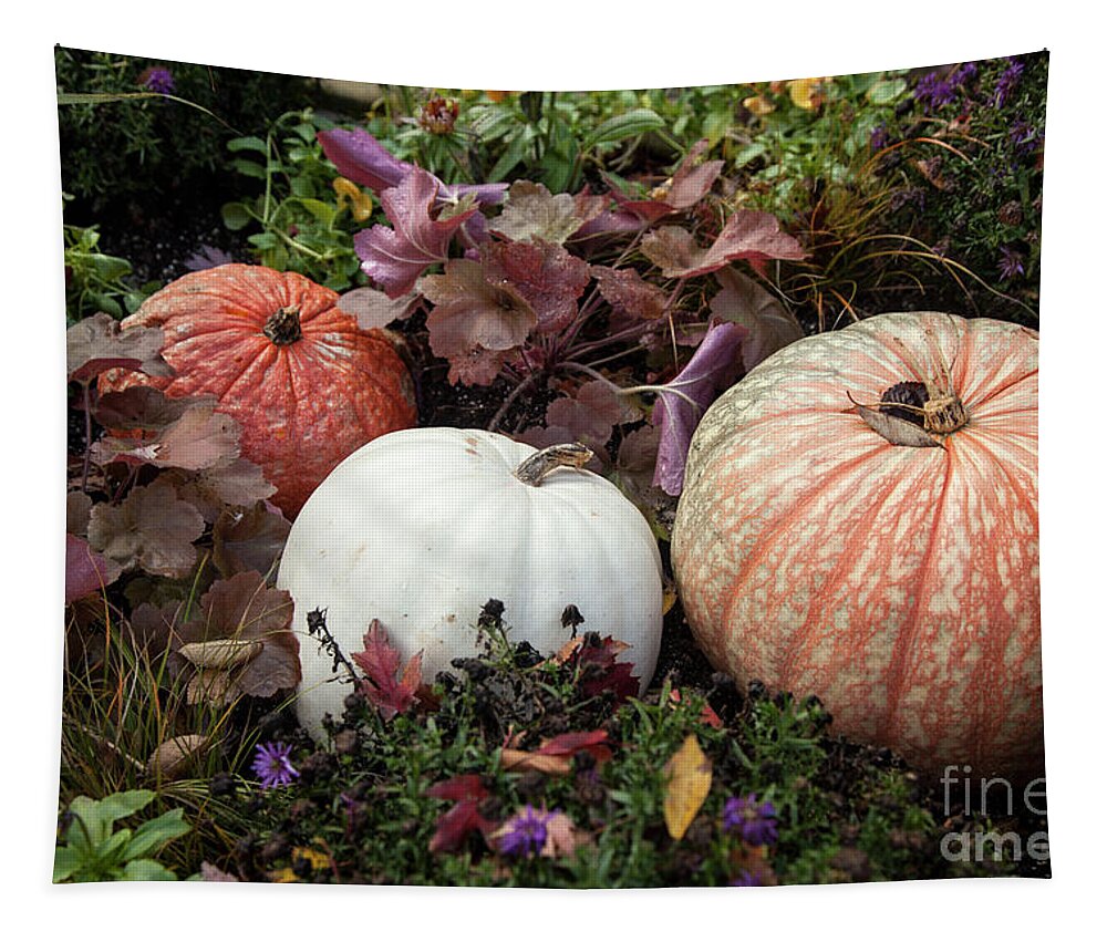 Fall Tapestry featuring the photograph Pumpkins by Timothy Johnson