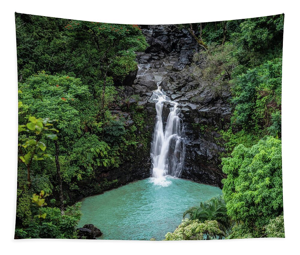 Hawaii Tapestry featuring the photograph Puohokamoa Falls by G Lamar Yancy