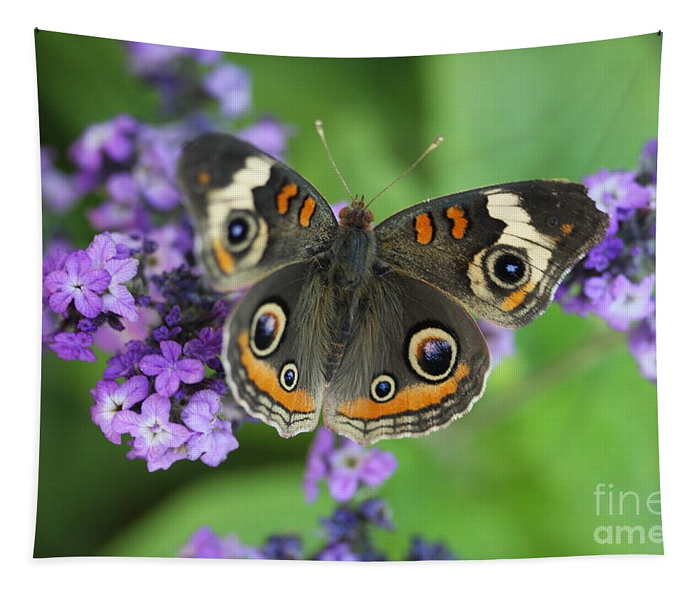 Buckeye Butterfly With Purple Flowers Tapestry featuring the photograph Purple Flowers and Butterfly by Terri Brewster