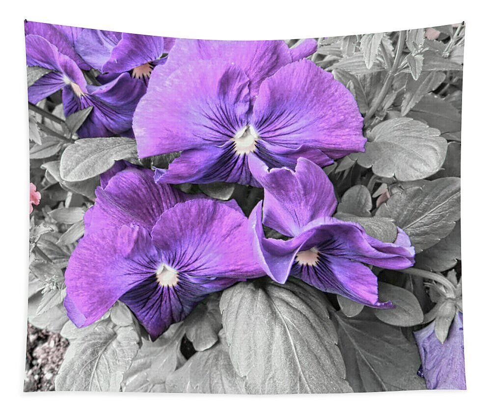 Purple Tapestry featuring the photograph Purple Pansies by Cathy Anderson