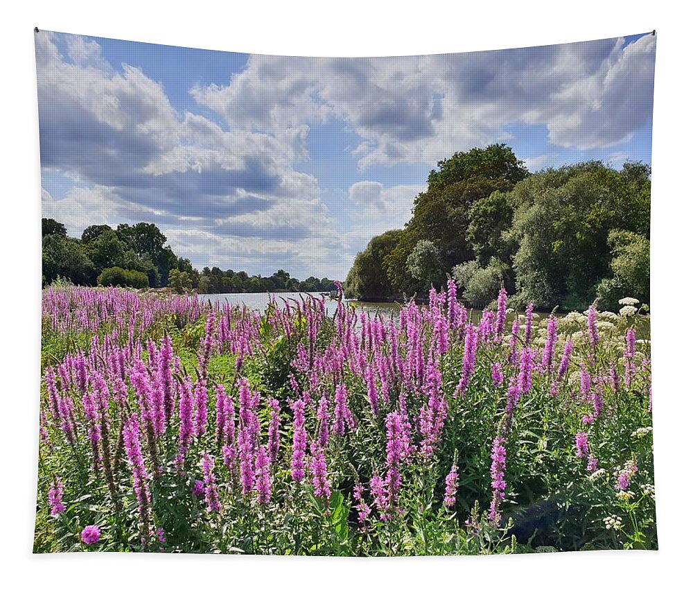 Wildflowers Tapestry featuring the photograph Purple Wildflowers on the Thames by Andrea Whitaker