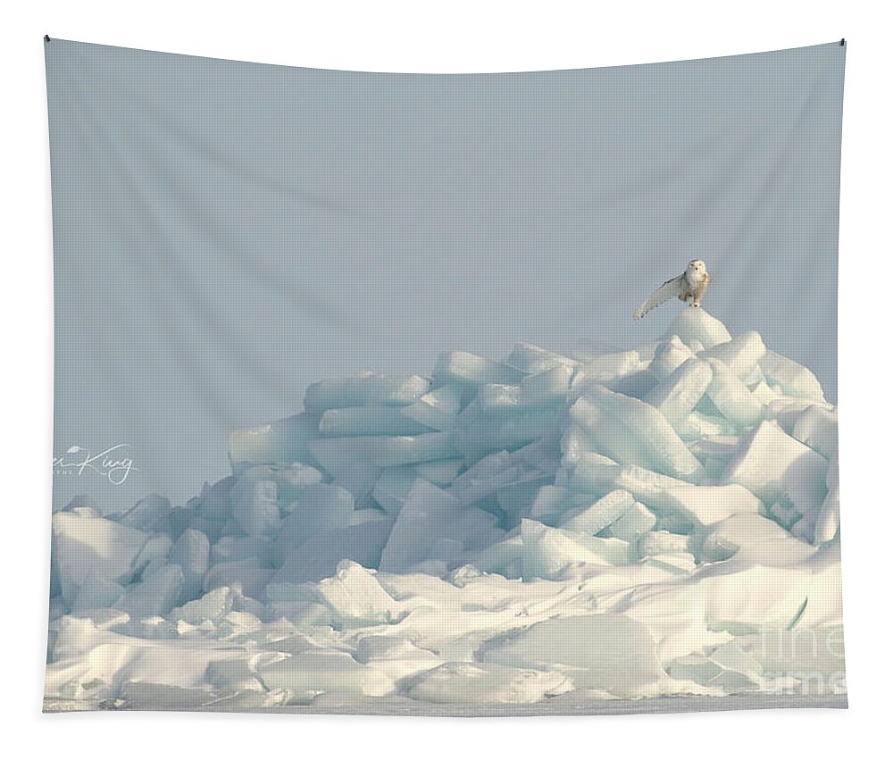 Snowy Owl Tapestry featuring the photograph Queen of her ice castle by Heather King