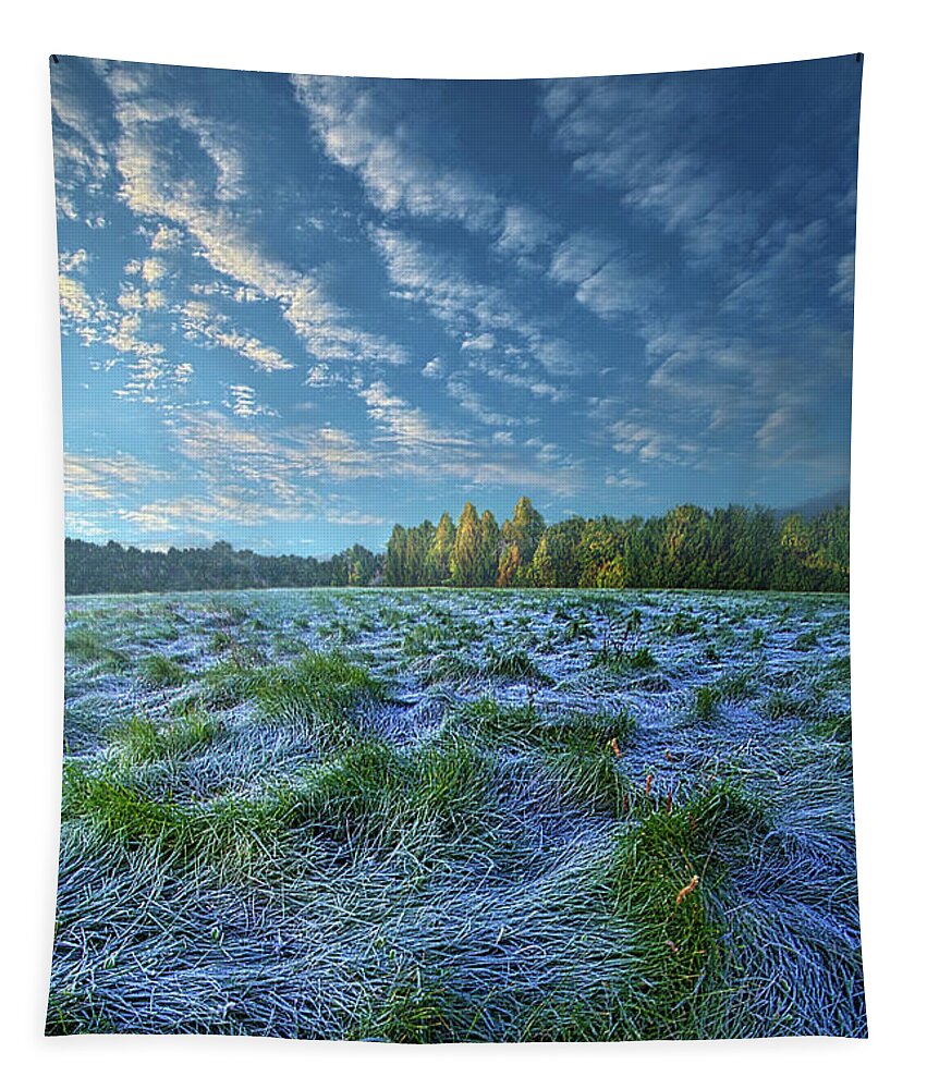 Beautiful Tapestry featuring the photograph Quiet Grace by Phil Koch
