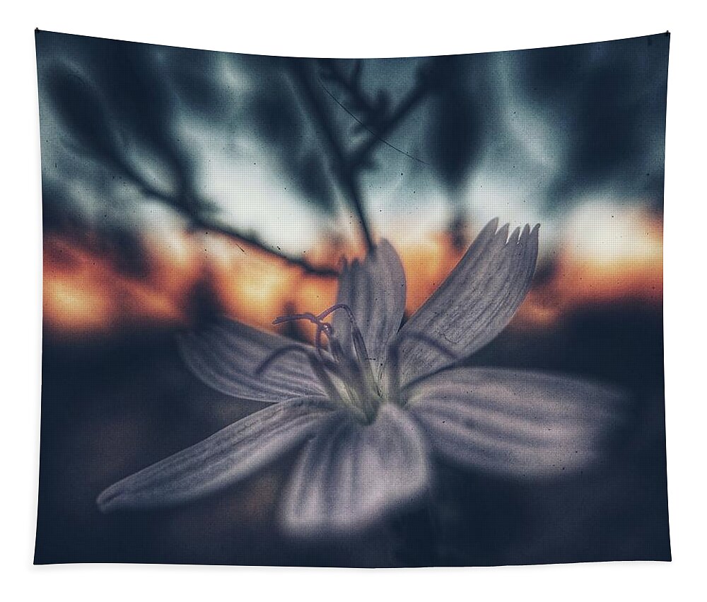 Flower Tapestry featuring the photograph Quiet Hour by Mark Ross