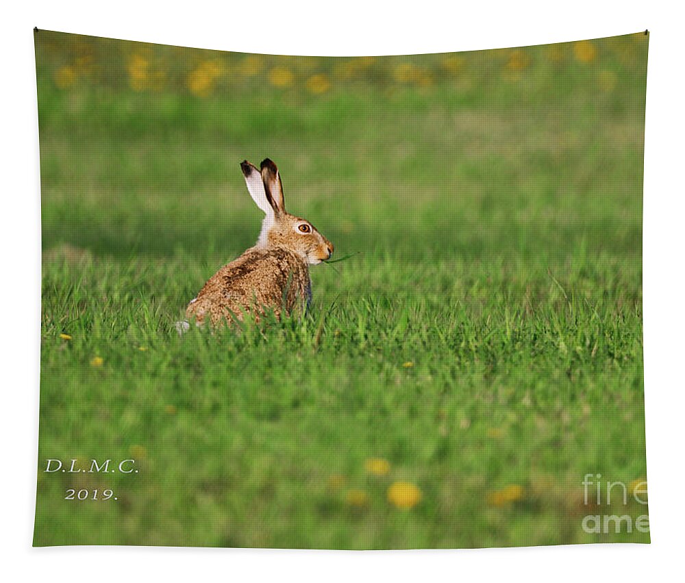 Landscape Tapestry featuring the photograph Rabbit Chews by Donna L Munro