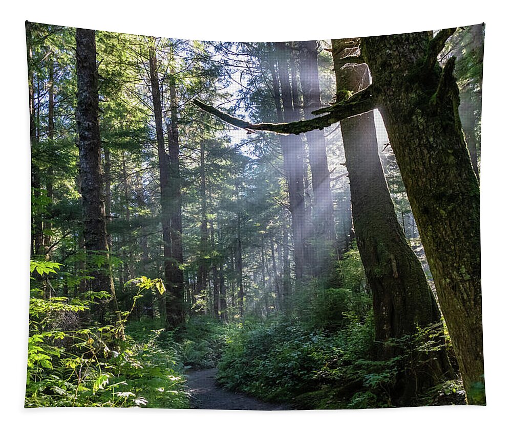 Background Tapestry featuring the photograph Rain Forest at La Push by Ed Clark