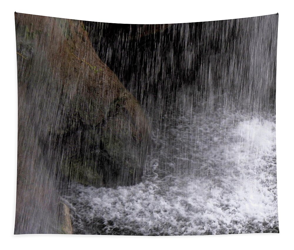 Rain Tapestry featuring the photograph Rain by Scott Cameron