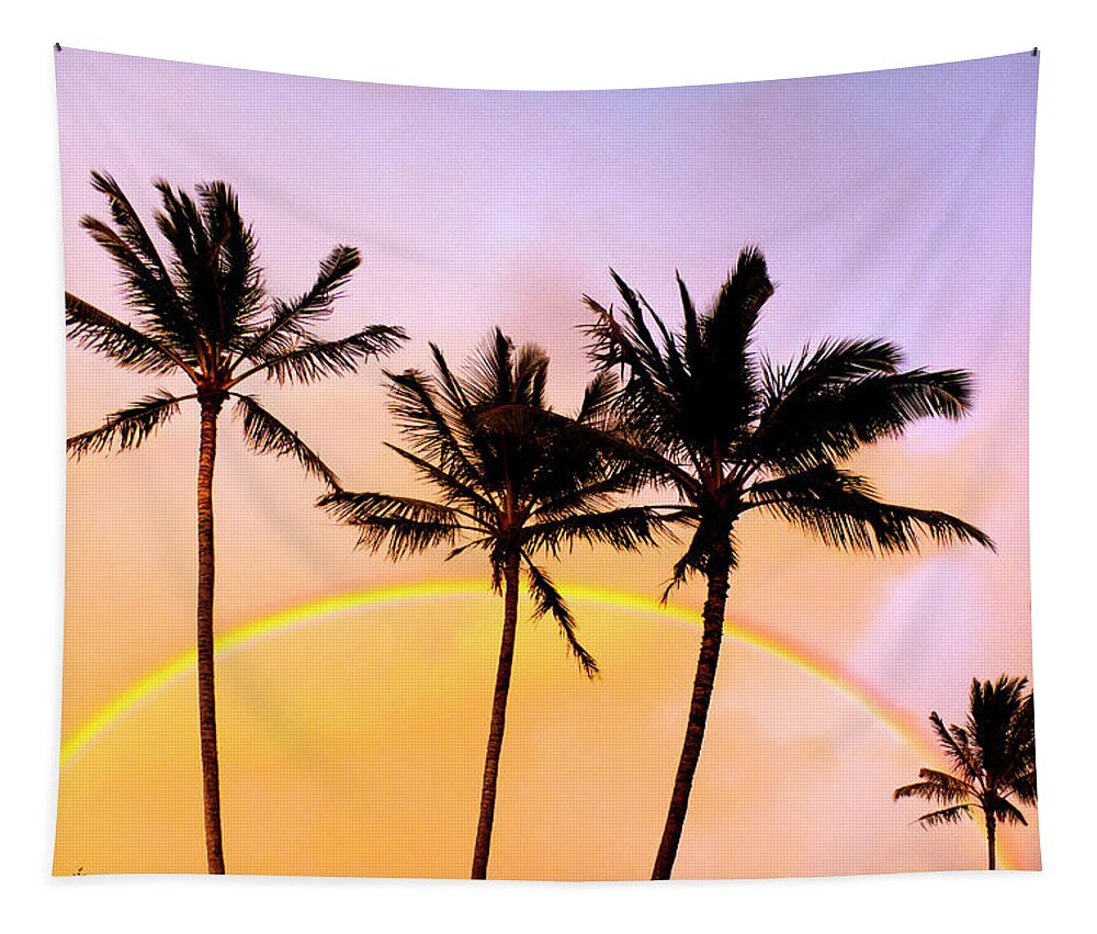 Rainbow Tapestry featuring the photograph Rainbow Palms by Sean Davey