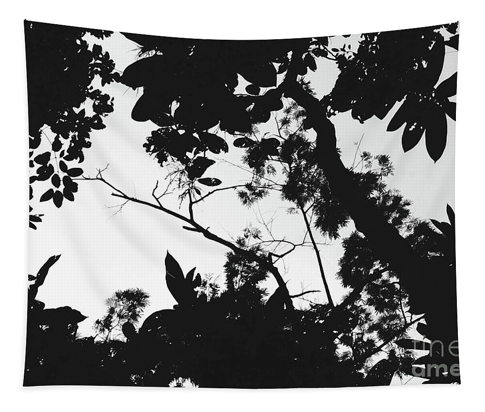 Rainforest Tapestry featuring the photograph Rainforest Window by Cassandra Buckley