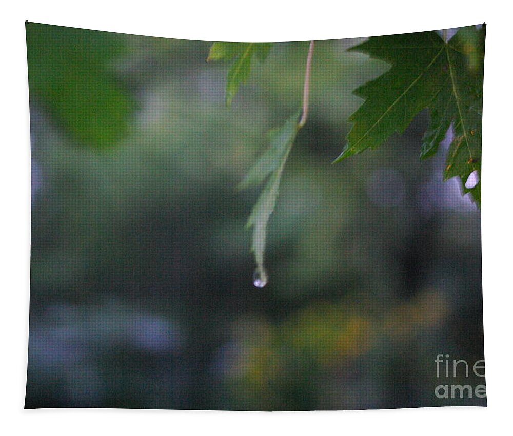 Nature Tapestry featuring the photograph Raining by Frank J Casella