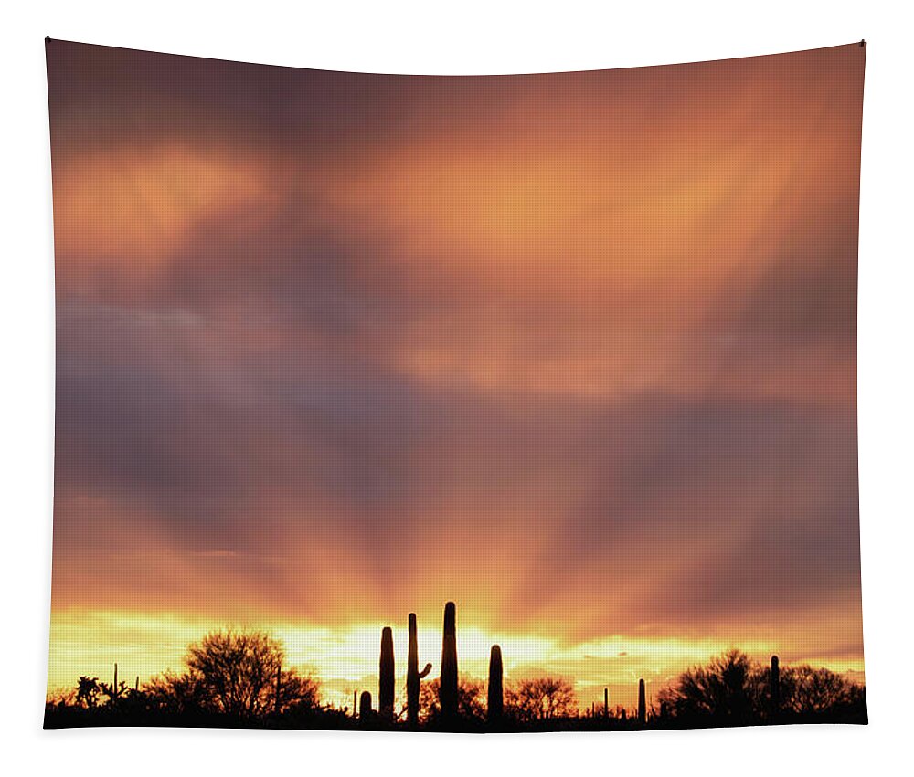 Monsoon Tapestry featuring the photograph Rainy Day Sunset by Elaine Malott