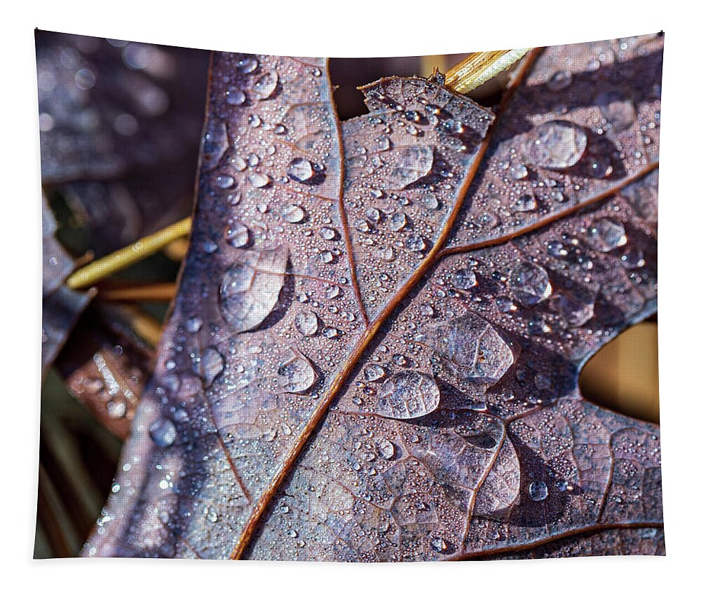 Poconos Tapestry featuring the photograph Nature Photography - Fall Leaves #3 by Amelia Pearn