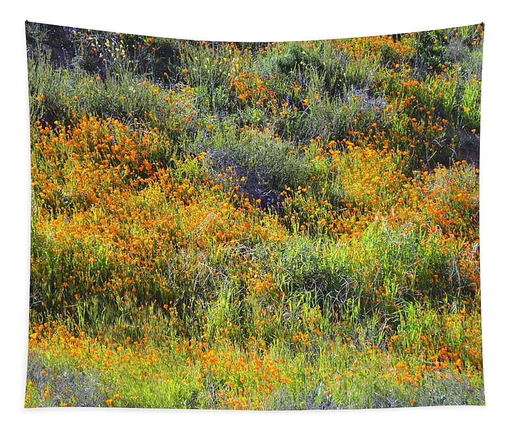 Poppies Tapestry featuring the photograph Random Poppy Stream by Glenn McCarthy Art and Photography