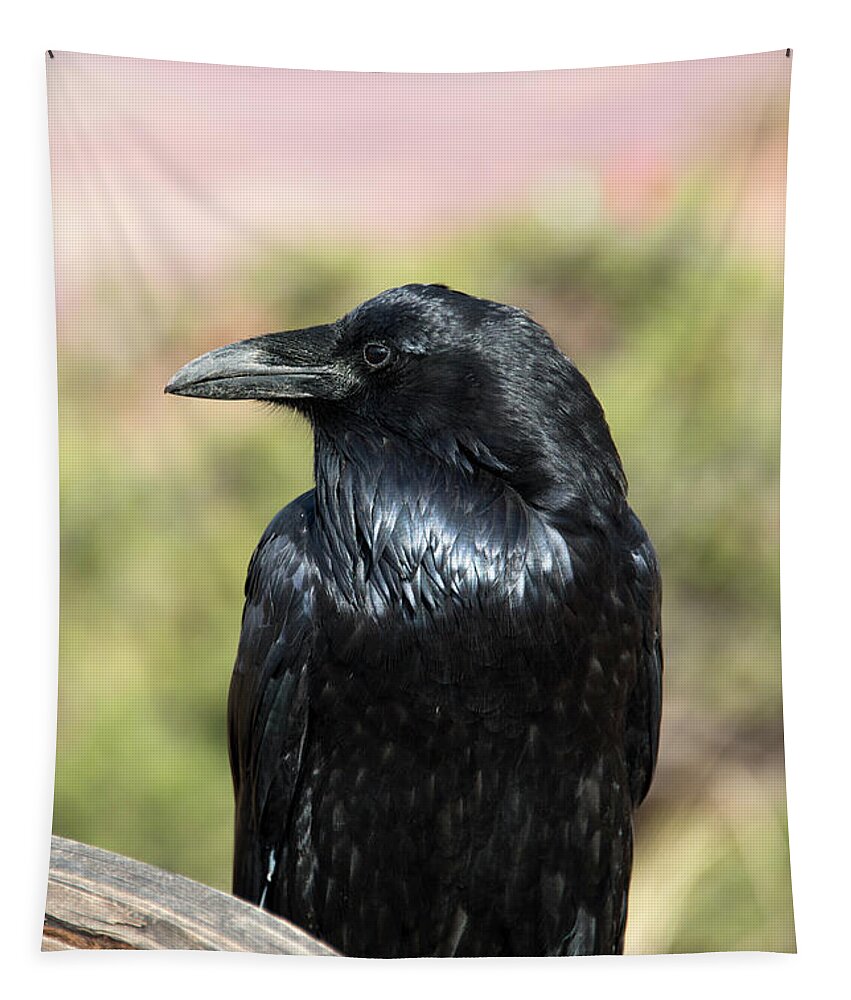 Raven Tapestry featuring the photograph Raven Profile by Michael Dawson