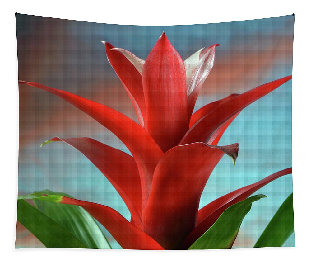 Bromeliad Tapestry featuring the photograph Red Bromeliad by Terence Davis
