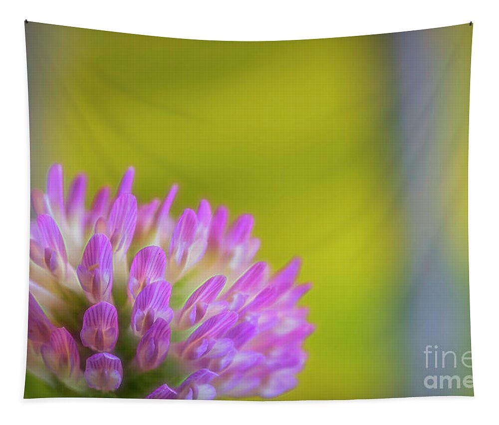 Asetelma Tapestry featuring the photograph Red Clover 3 by Veikko Suikkanen