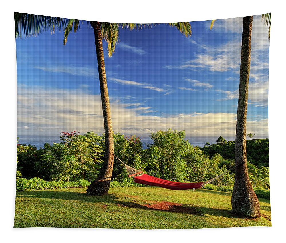 Hammock Tapestry featuring the photograph Red Hammock In Hawaii by James Eddy