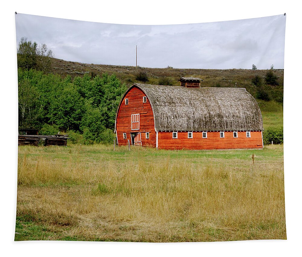 Barn Tapestry featuring the photograph Red Lodge MT Barn by Cathy Anderson
