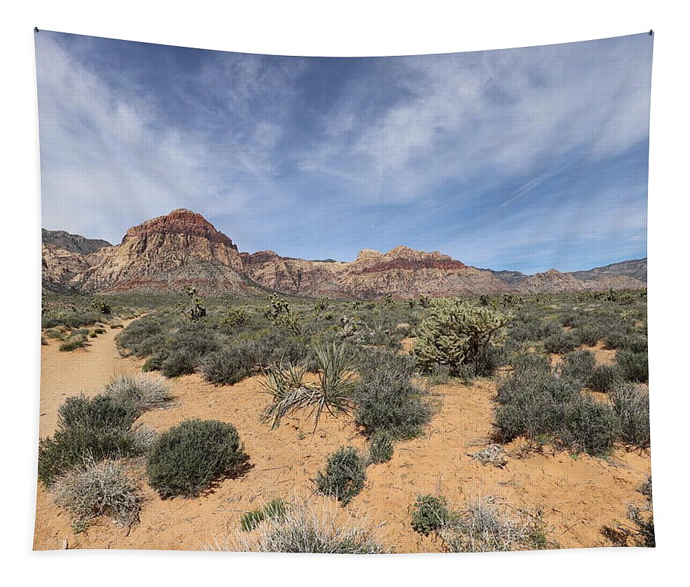 Red Rock Canyon National Conservation Area Tapestry featuring the photograph Red Rock Canyon Panorama by Maria Jansson