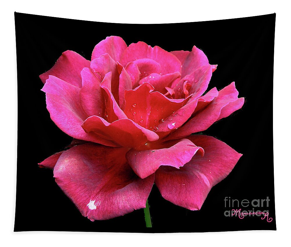 Nature Tapestry featuring the photograph Red Rose with Raindrops by Mariarosa Rockefeller