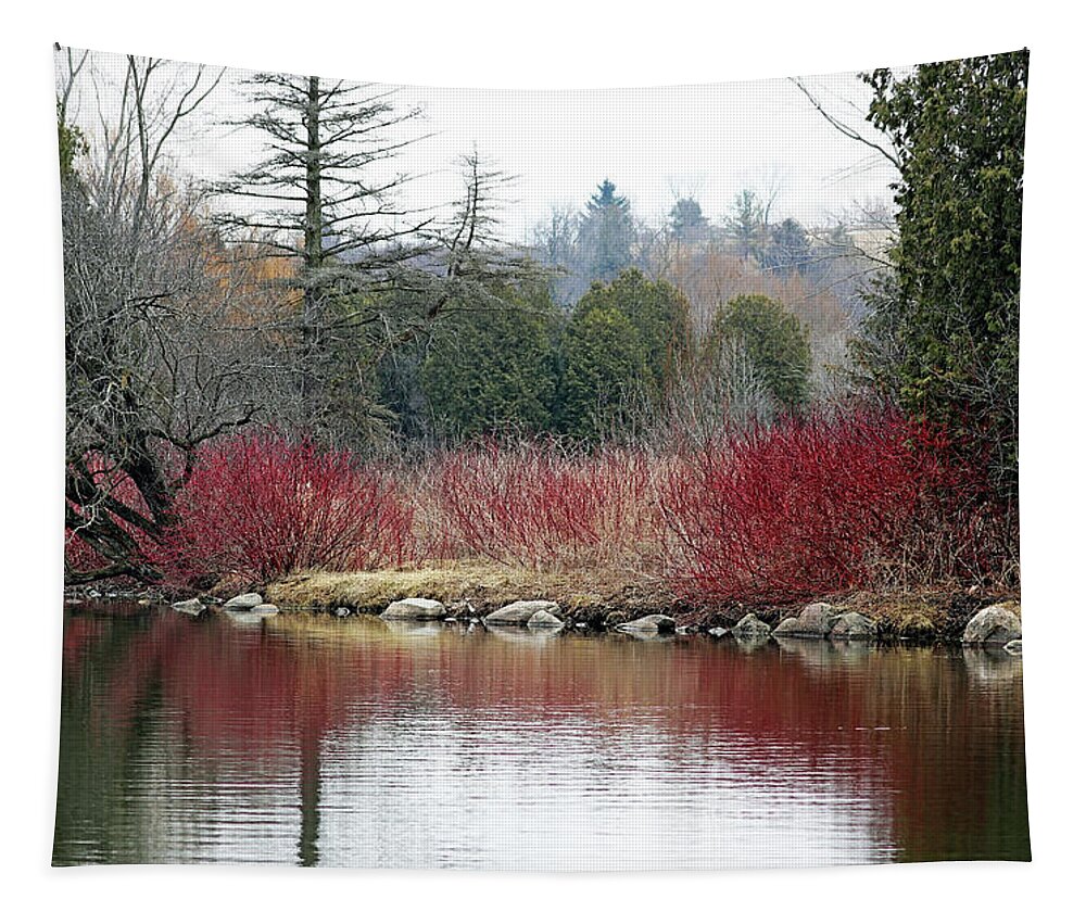 Guelph Tapestry featuring the photograph Red Splash On Pond Early Spring by Debbie Oppermann