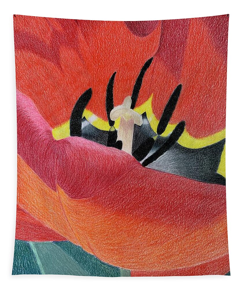 Flower Tapestry featuring the drawing Red tulip by Colette Lee