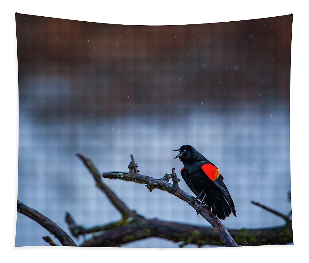 Loess Bluffs Nwr Tapestry featuring the photograph Red-winged Blackbird Protests by Jeff Phillippi