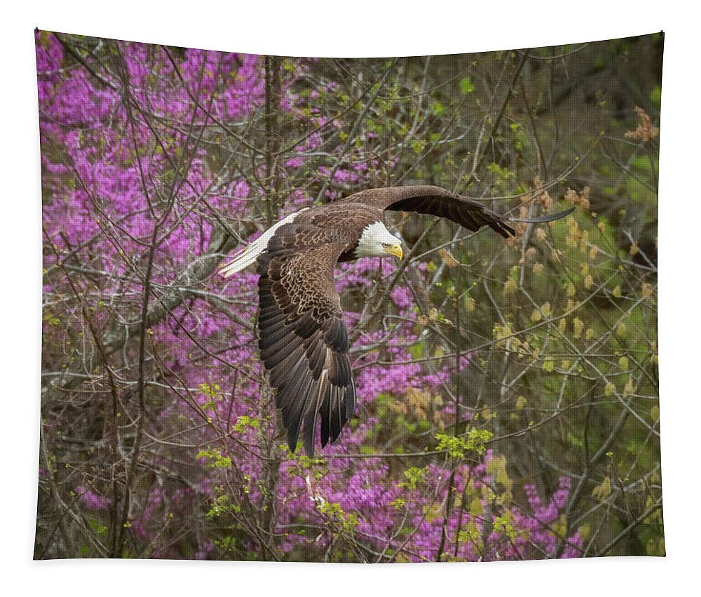 Wildlife Tapestry featuring the photograph Redbud and Eagle by C Renee Martin