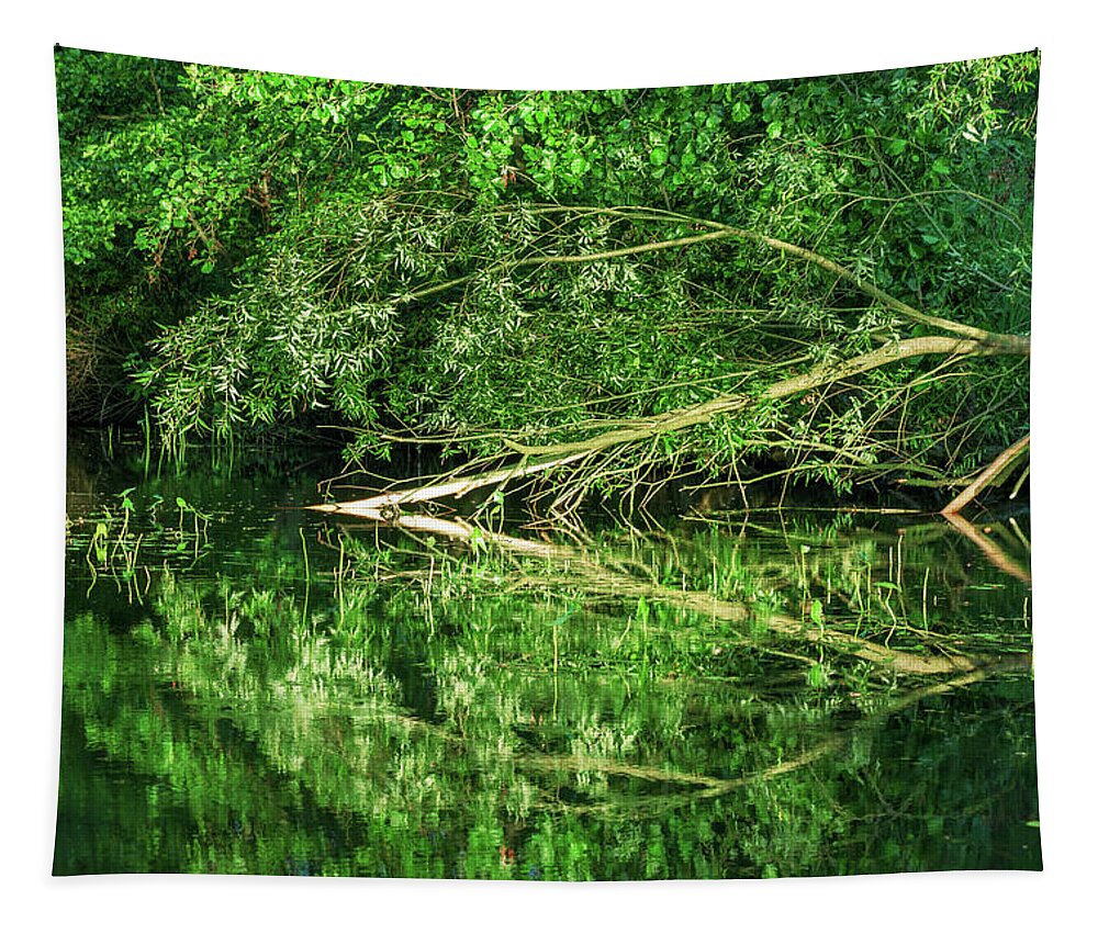 Spreewald Tapestry featuring the photograph Reflection in the Spreewald by Sun Travels
