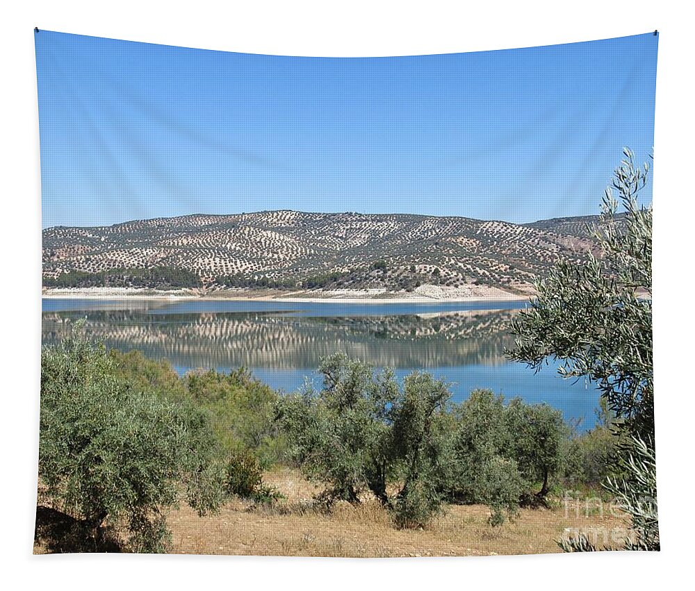 Cordoba Tapestry featuring the photograph Reflection on the lake near Iznajar by Chani Demuijlder