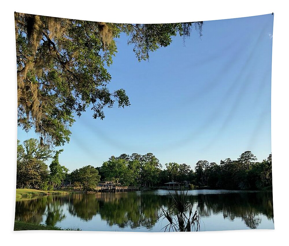 Reflections Tapestry featuring the photograph Reflections on Spring Lake by Dennis Schmidt