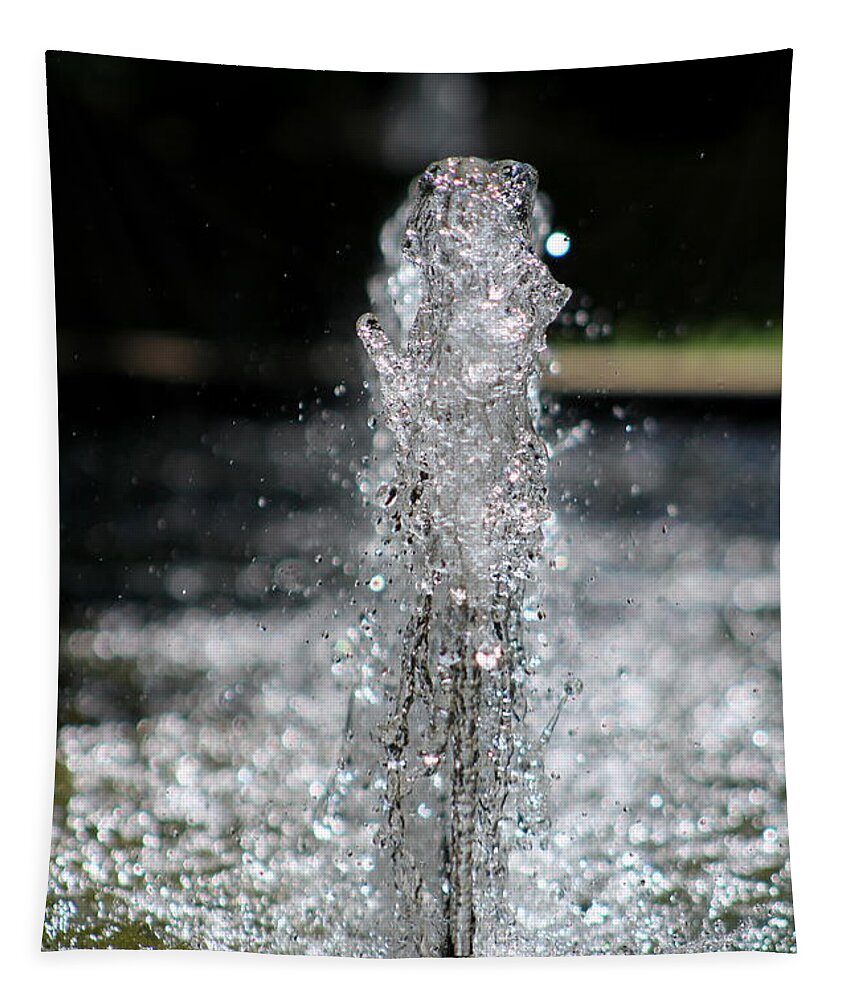 Garden Waters Tapestry featuring the photograph Refreshing - Water in Motion by Colleen Cornelius