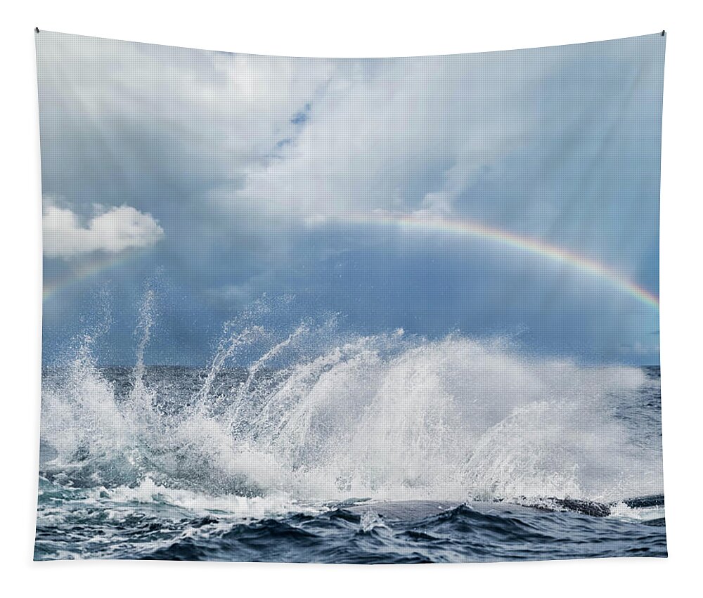 Whale Splash Tapestry featuring the photograph Resounding Joy by Louise Lindsay