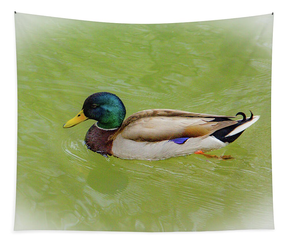 Duck Tapestry featuring the photograph Resting Duck by Allen Nice-Webb